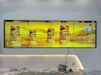 貴陽(yáng)安順電子信息產(chǎn)業(yè)園拼接屏系統(tǒng)