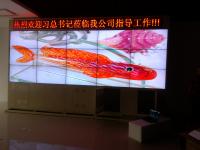 江蘇南京鴻翔科技有限公司拼接屏系統(tǒng)